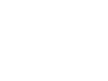 Soul on Fire